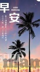 8x成人在线视频-成人在线视频的8x现象，理性审视与边界探讨