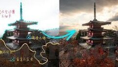 91制片厂(果冻传媒)-91制片厂，果冻传媒的创意与挑战