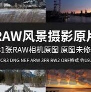 国内外成人免费激情在线视频-成人娱乐内容与网络文化的边界探讨