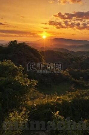 麻豆传媒黄色-麻豆传媒与网络文化的两难之境