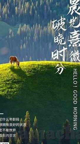 麻豆精品推荐av-麻豆精品，解锁视觉艺术的新里程