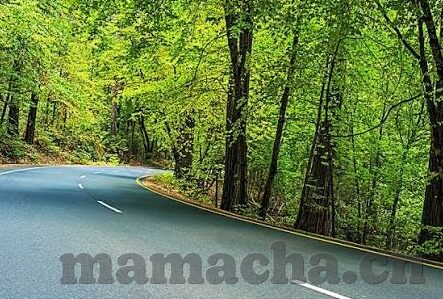 欧美日韩国产色站一区二区三区-探索多元文化视角下的网络内容差异与影响