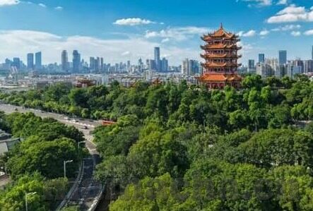 糖心app最新-解锁智能生活新体验，糖心app的最新探索与独到之处